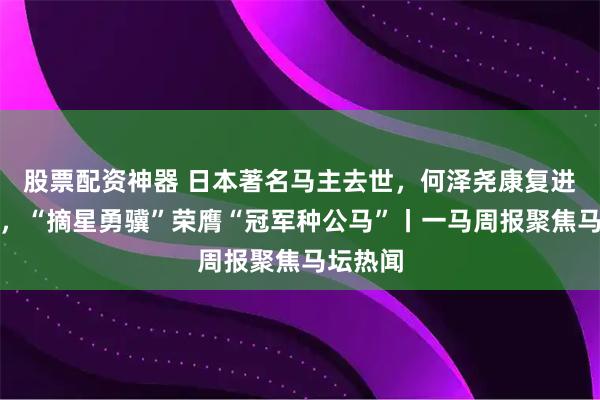股票配资神器 日本著名马主去世，何泽尧康复进度理想，“摘星勇骥”荣膺“冠军种公马”丨一马周报聚焦马坛热闻